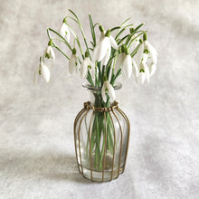 Curved Brass Wire Bud Vase