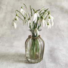 Curved Brass Wire Bud Vase