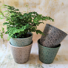 Mosaic pattern ceramic planters in grey, green, dark grey or sea green ~ by Gisela Graham