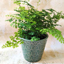 Mosaic pattern ceramic planters in grey, green, dark grey or sea green ~ by Gisela Graham