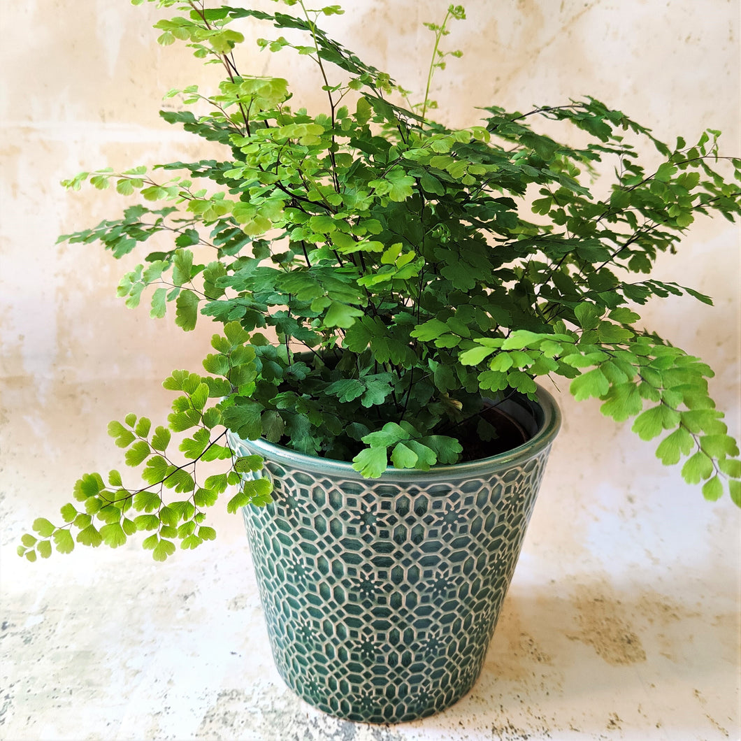 Mosaic pattern ceramic planters in grey, green, dark grey or sea green ~ by Gisela Graham