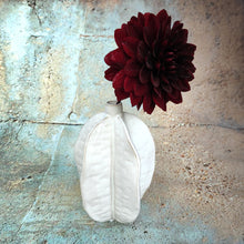 Akosi Ceramic Vase in white by Light & Living ~ Starfruit shape