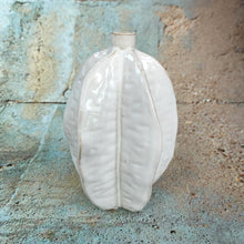 Akosi Ceramic Vase in white by Light & Living ~ Starfruit shape
