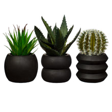 Black Cement Mini Planters by Sass & Belle