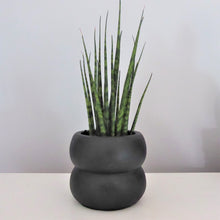 Black Cement Mini Planters by Sass & Belle