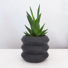 Black Cement Mini Planters by Sass & Belle