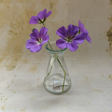 Liberte Glass Bud Vases by Grand Illusions