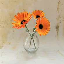 Liberte Glass Bud Vases by Grand Illusions