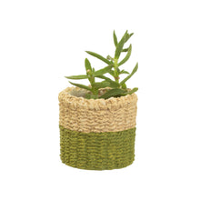 Mini Green Dip Cement Basket Planter by Sass & Belle