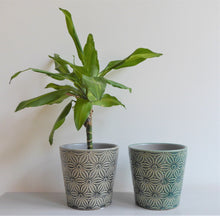 Asters Plant Pot Covers by Gisela Graham ~ Ceramic ~ Floral ~ Grey or Green