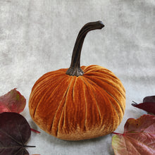 Soft Velvet Pumpkins - gold, orange, green or blue