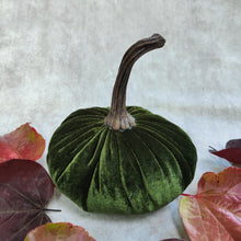 Soft Velvet Pumpkins - gold, orange, green or blue