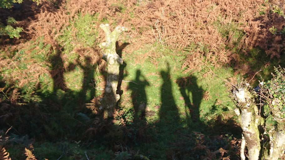 Five Go Mad in the Quantocks