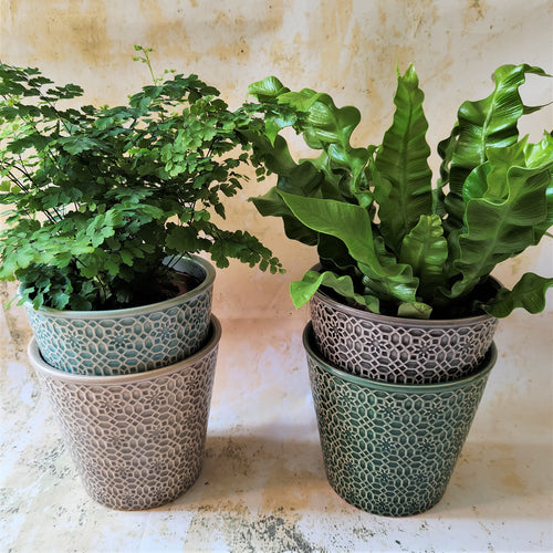 Mosaic pattern ceramic planters in grey, green, dark grey or sea green ~ by Gisela Graham
