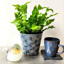 Blue Spiral Planter / Plant Pot Cover ~ Gisela Graham