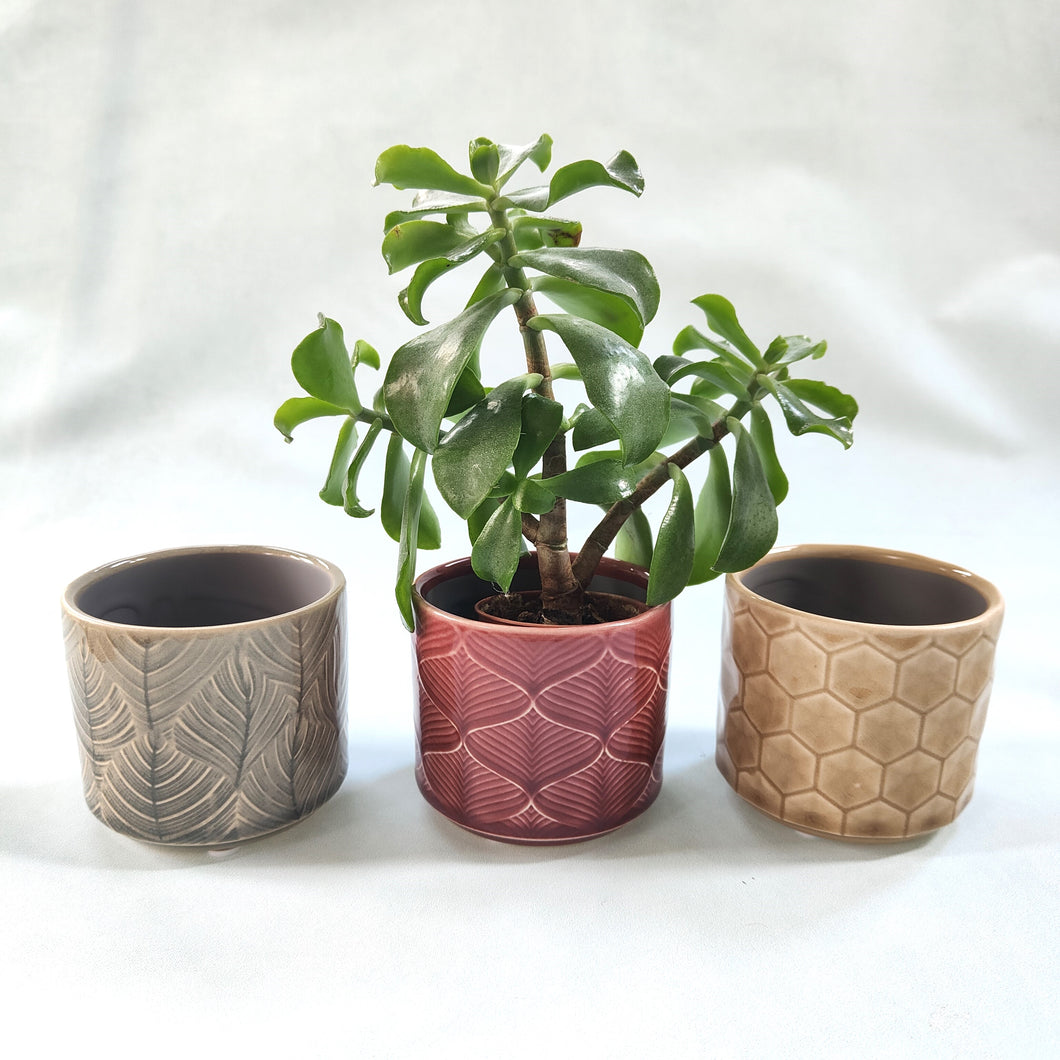 ceramic plant pot covers Mini Plant Pot Covers ~ Leaf, Wavy or Honeycomb Designs ~ Grey, Berry, – Snowbunting