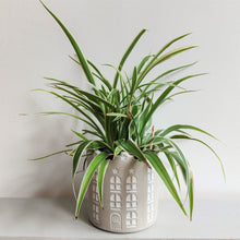 Grey Cement Dutch House Planter / Plant Pot by Parlane