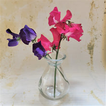 Liberte Glass Bud Vases by Grand Illusions