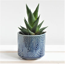 Leaf Design Mini Plant Pot Cover by Gisela Graham in navy or grey.