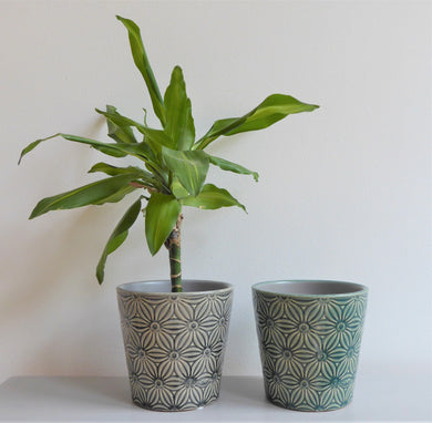 Asters Plant Pot Covers by Gisela Graham ~ Ceramic ~ Floral ~ Grey or Green